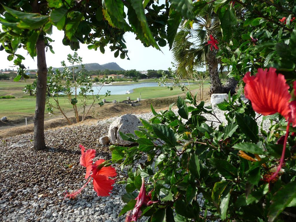 Blue Bay Beach Villa At Pool And Golfcourse Eksteriør bilde